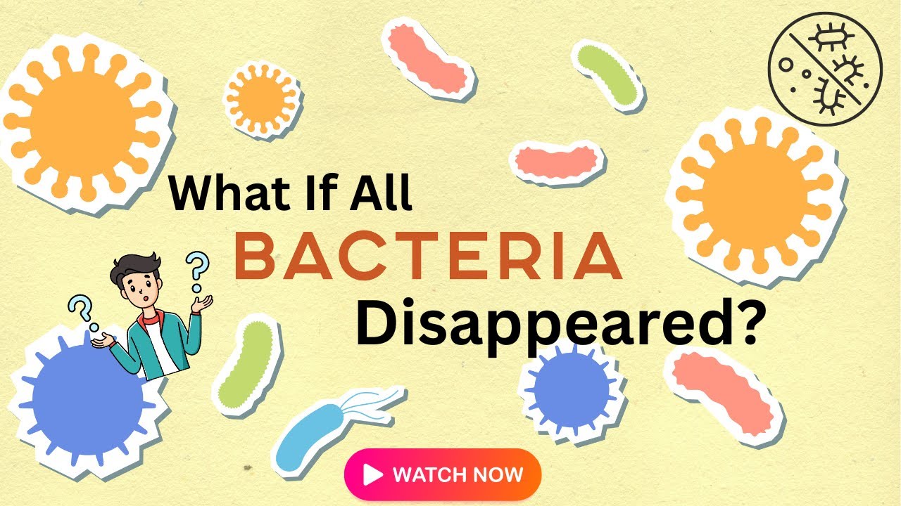 What If All Bacteria Disappeared? | Deep Science Breakdown | Stellar Science Knowledge