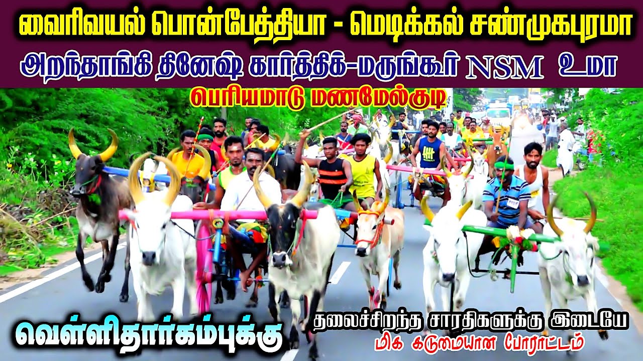 பெரியமாடு மணமேல்குடி மாட்டுவண்டி பந்தயம் 16.06.2022
