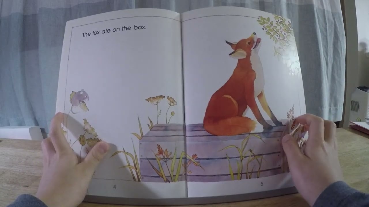the fox on the box