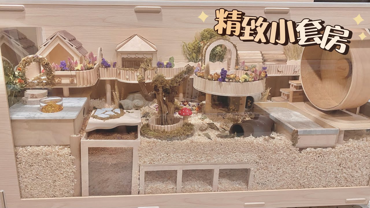 仓鼠笼造景 | 除夕的笼子布置❸ | 精致度拉满✨ 夕夕的家加大啦!🧡 \ Setting Up New Enclosure