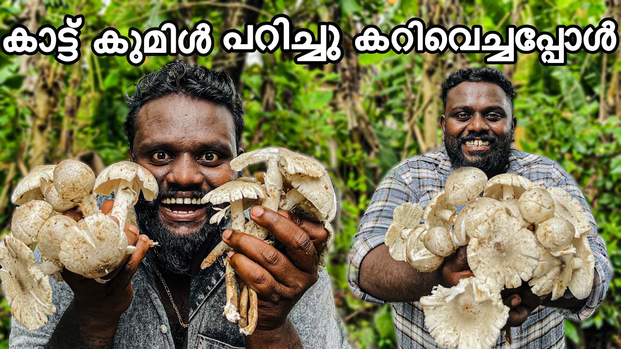 കാട്ട് കുമിൾ കഴിച്ചു പണികിട്ടി🥲😱🤯#kdcompany #koonrost #challenge