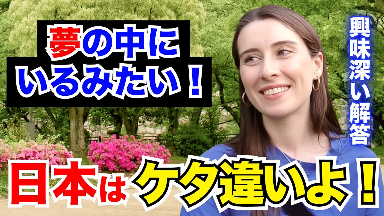 「まるで夢の世界！日本はケタ違い…」外国人観光客にインタビュー｜ようこそ日本へ！Welcome to Japan!【海外の反応】