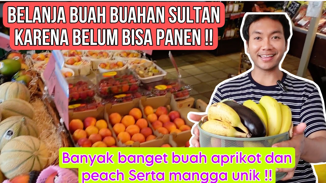 BELANJA BUAH BUAHAN SULTAN!! BUAH PEACH MANGGA UNIK DAN BUAH PIR EROPA !! MEHONG!