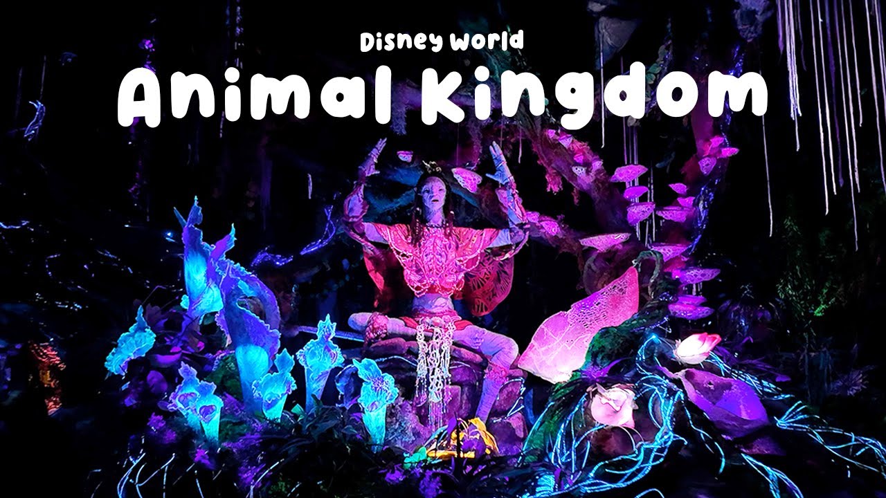 A Day in Animal Kingdom 🌿 | Disney World Orlando