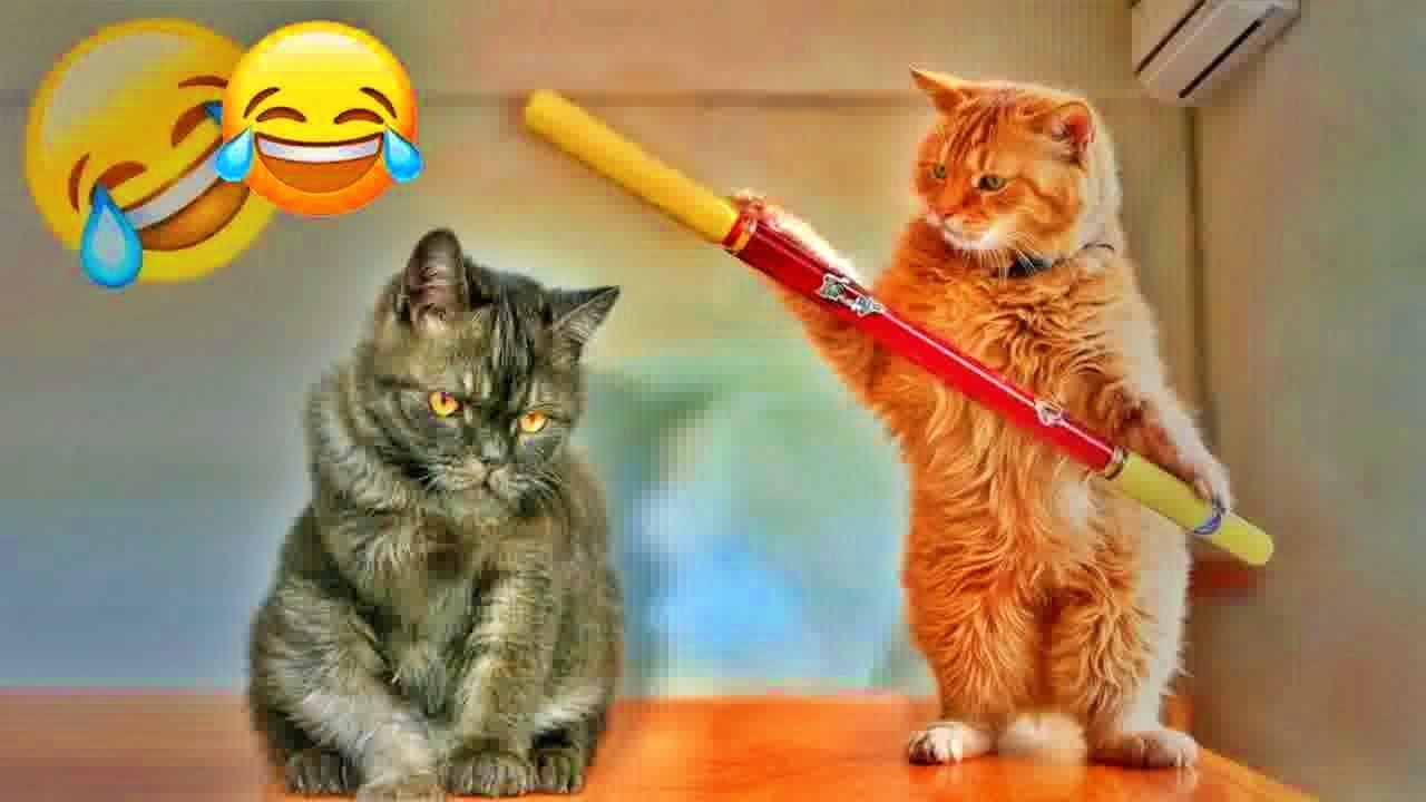 You Laugh You Lose😺🐶Funniest Dogs and Cats 2026😛