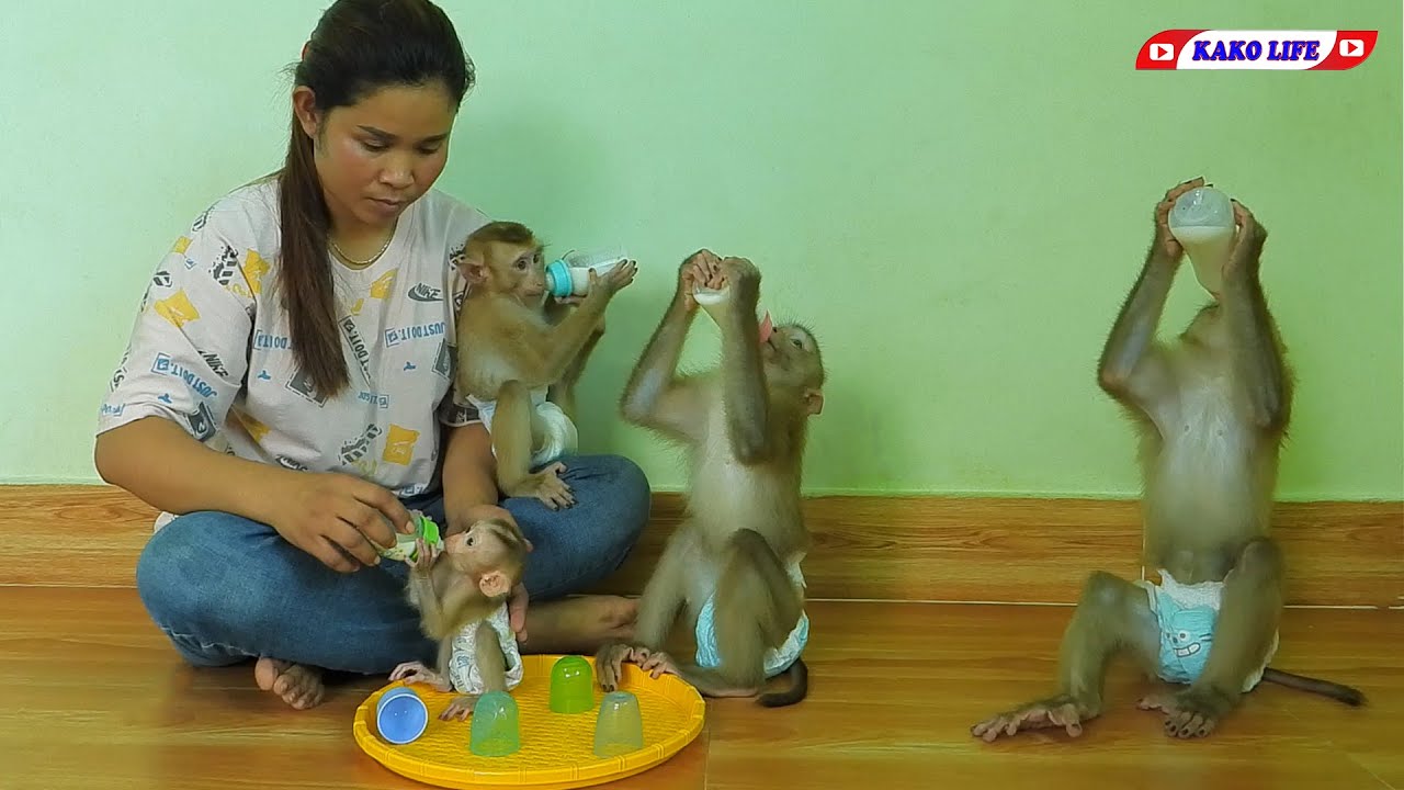 Cuties Little Kako Luna Olly And Lisa Drinking Milk