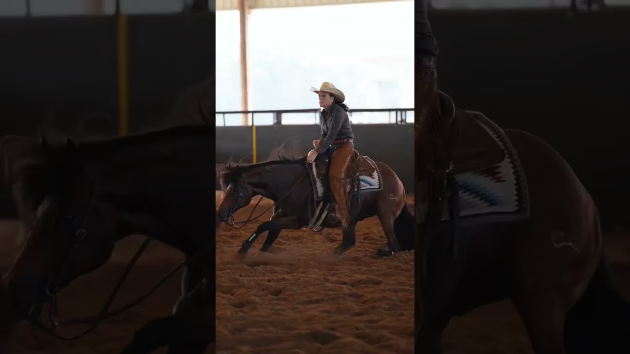 Cutting horse cowgirls tap in 😍 #cowgirl #iamcowgirl #cuttinghorsesoftiktok