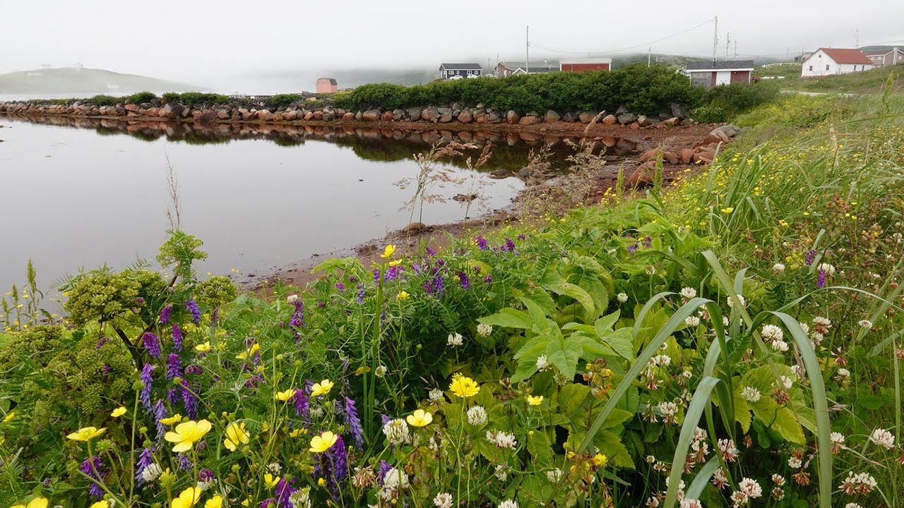 One Day In Port - Red Bay Labrador Canada