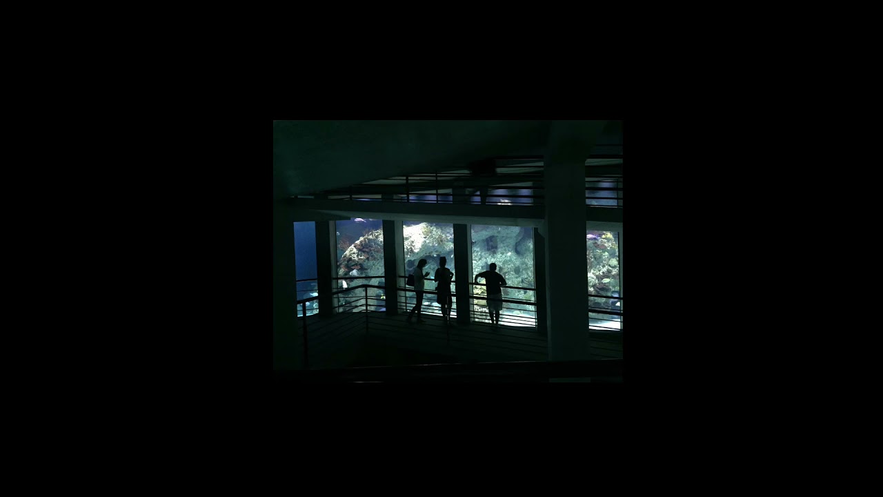 Salt - slowed + reverb, RY X