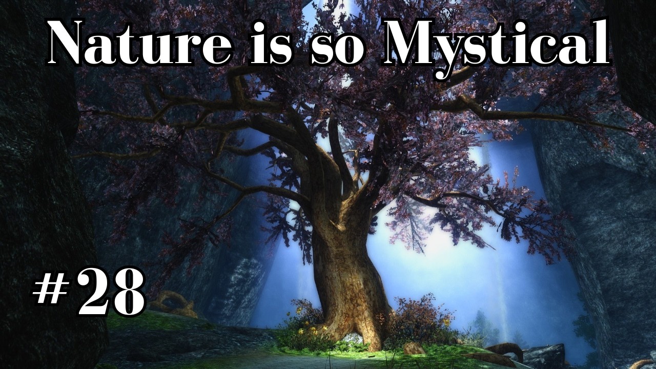 Gildergreen Sanctuary Is Beautiful | Skyrim 28