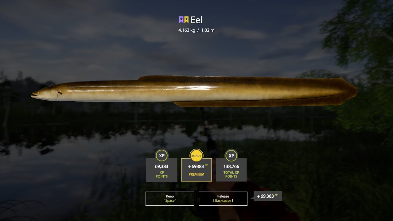 RF4 Eel Trophy 2x Old Burg Lake