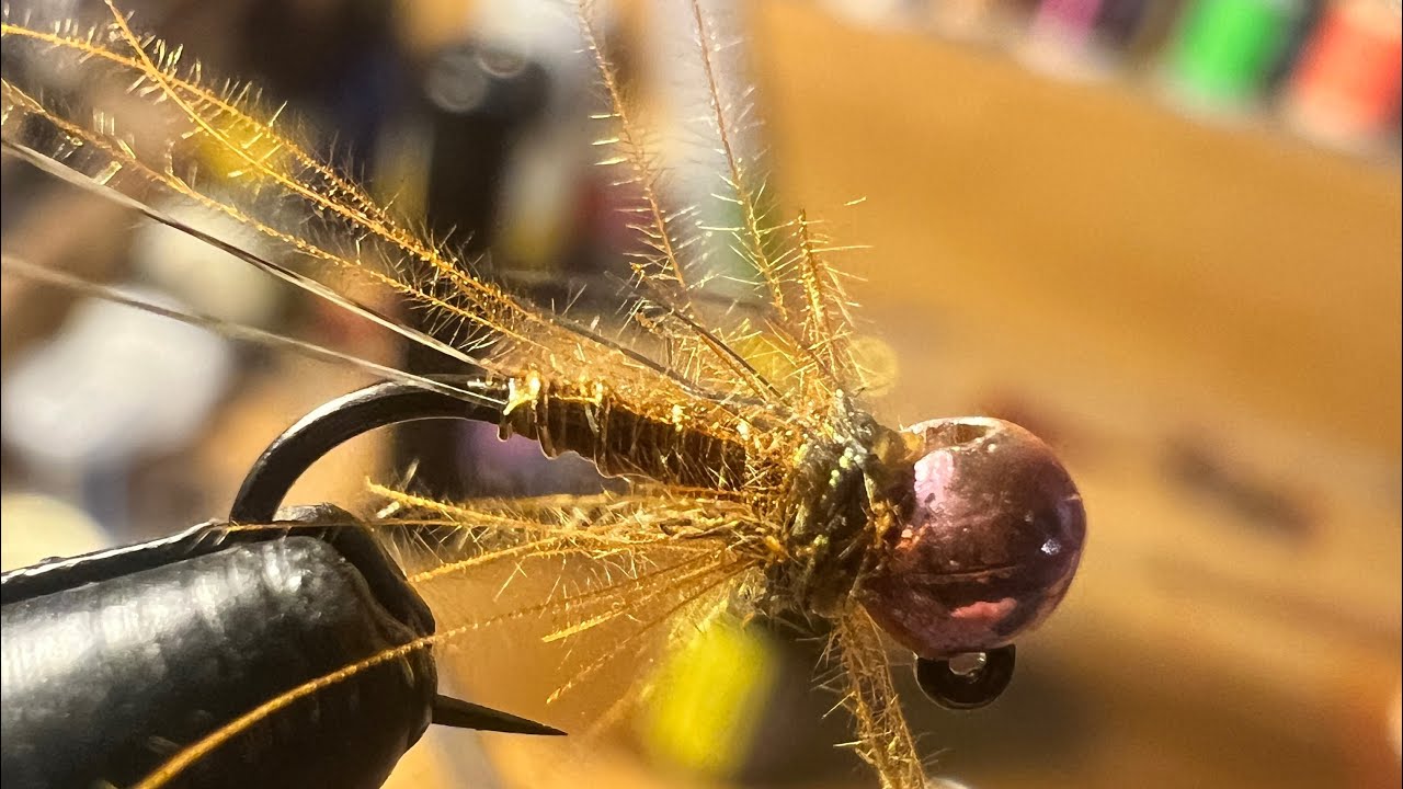 Ways to help fish the Weber River