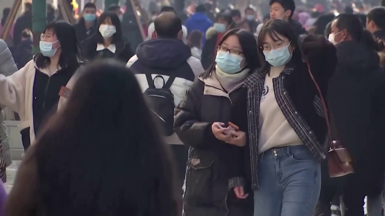 WHO investigative team finally arrives in Wuhan
