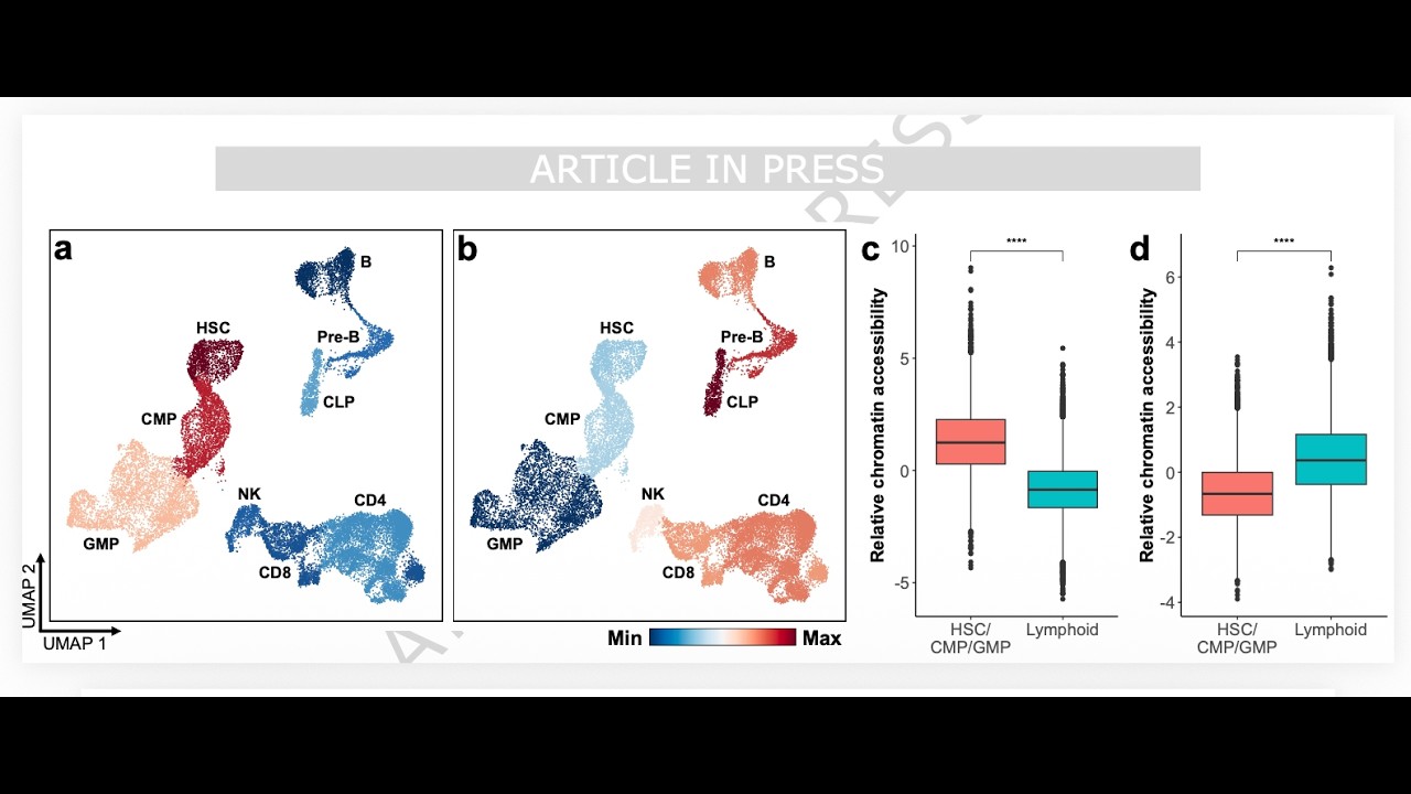 Treating the Fundamental Causes of Aging with IsoDDE
