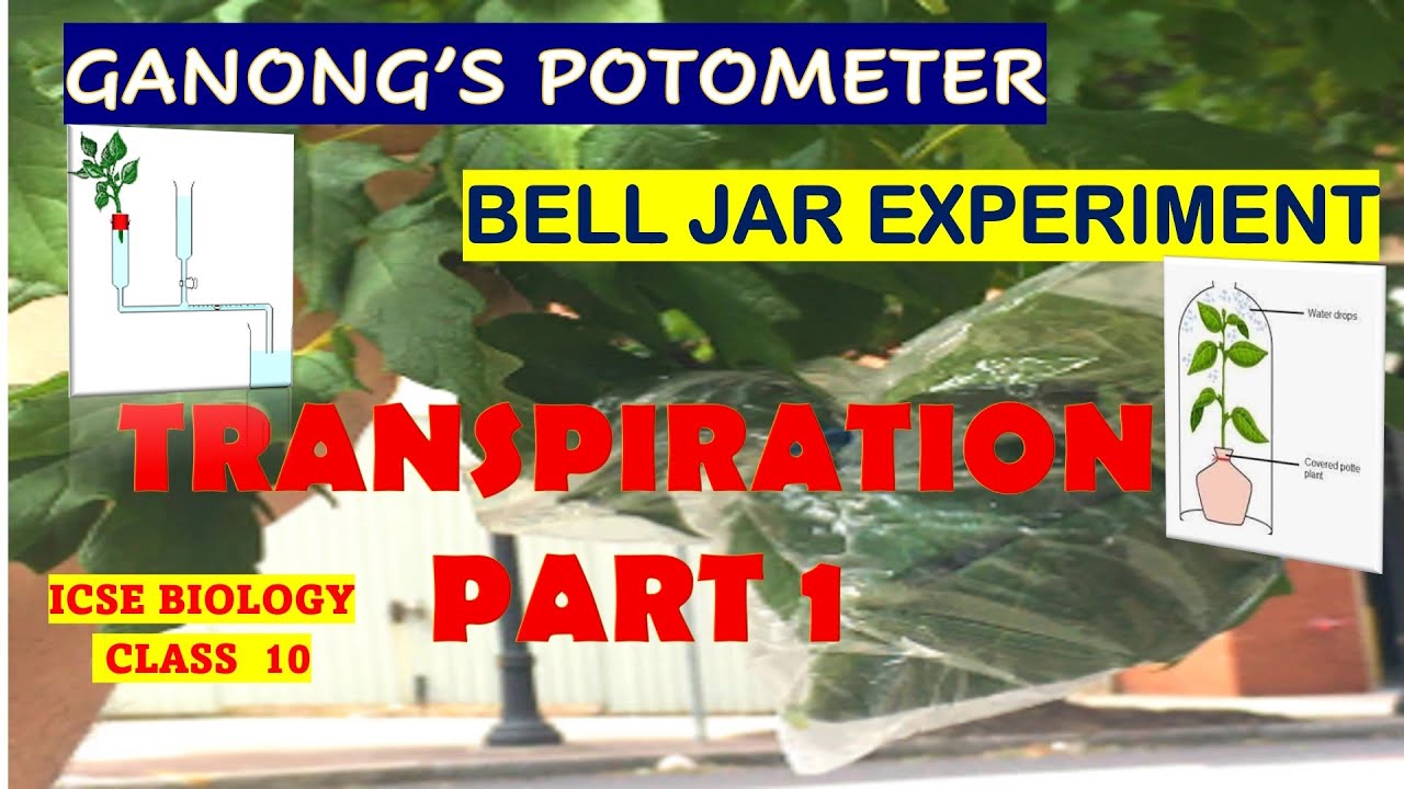 Transpiration part1/Demonstration of Transpiration/Measurement of transpiration/Ganong's potometer