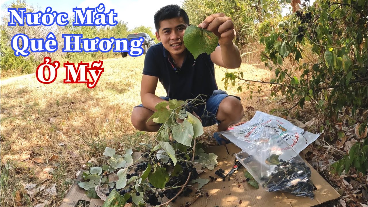 Người Việt Mang Đặc Sản Việt Qua Mỹ Định Cư