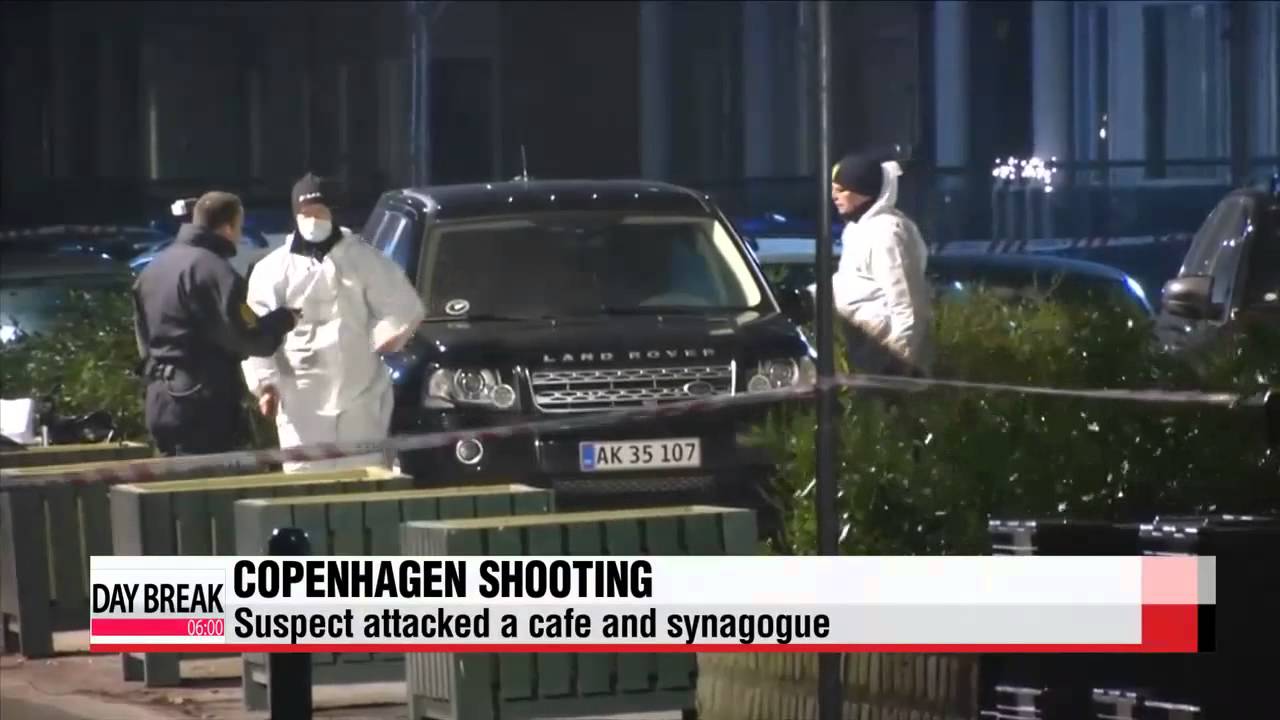 Copenhagen gunman was on Danish intelligence′s 