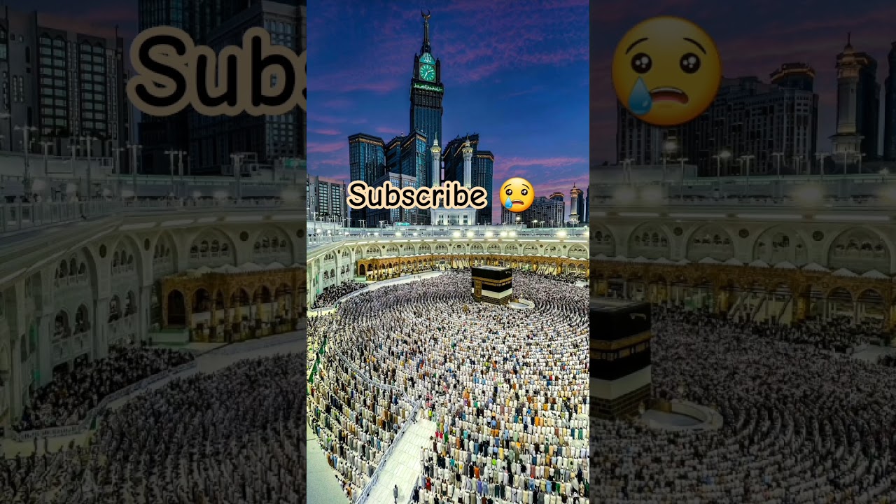 Subs #recitation #peace #duet #noumanali #islamicscholar #quranenglish  #muftimenk #love #birds