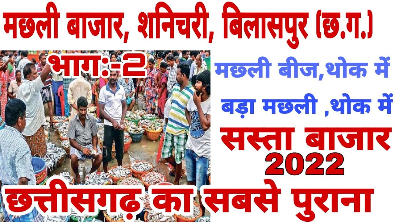 थोक मछ्ली बाजार शनिचरी बिलासपुर छ.ग.|fish market shanichari Bilaspur Chhattisgarh|| New 2022