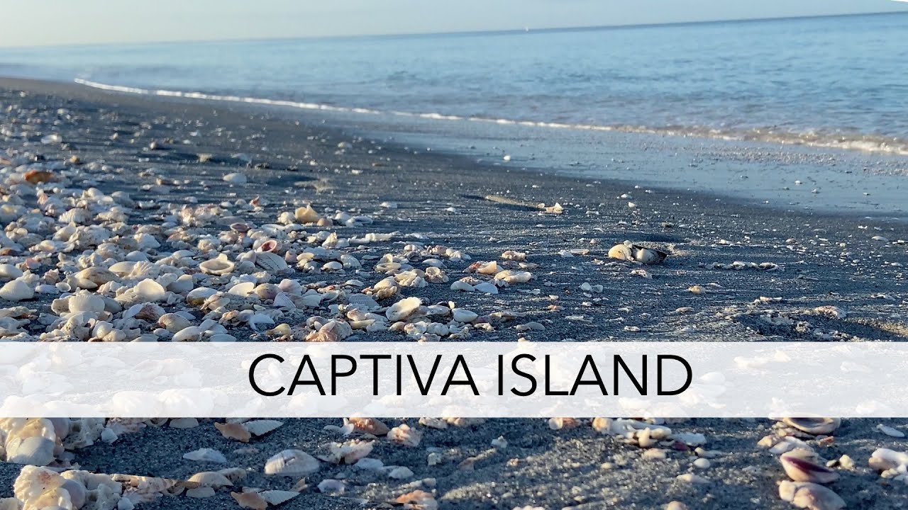 Поиск морских ракушек во Флориде, на острове Каптива. Давайте отправимся на поиски пляжных сокров...