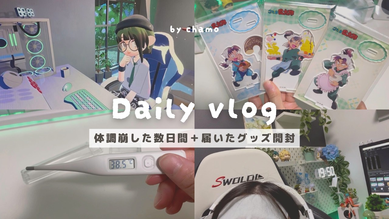 【Daily vlog】体調を崩した数日間＋届いたグッズ開封した日🤧│忍たま・ｇｏｇｈゴッホ🍃