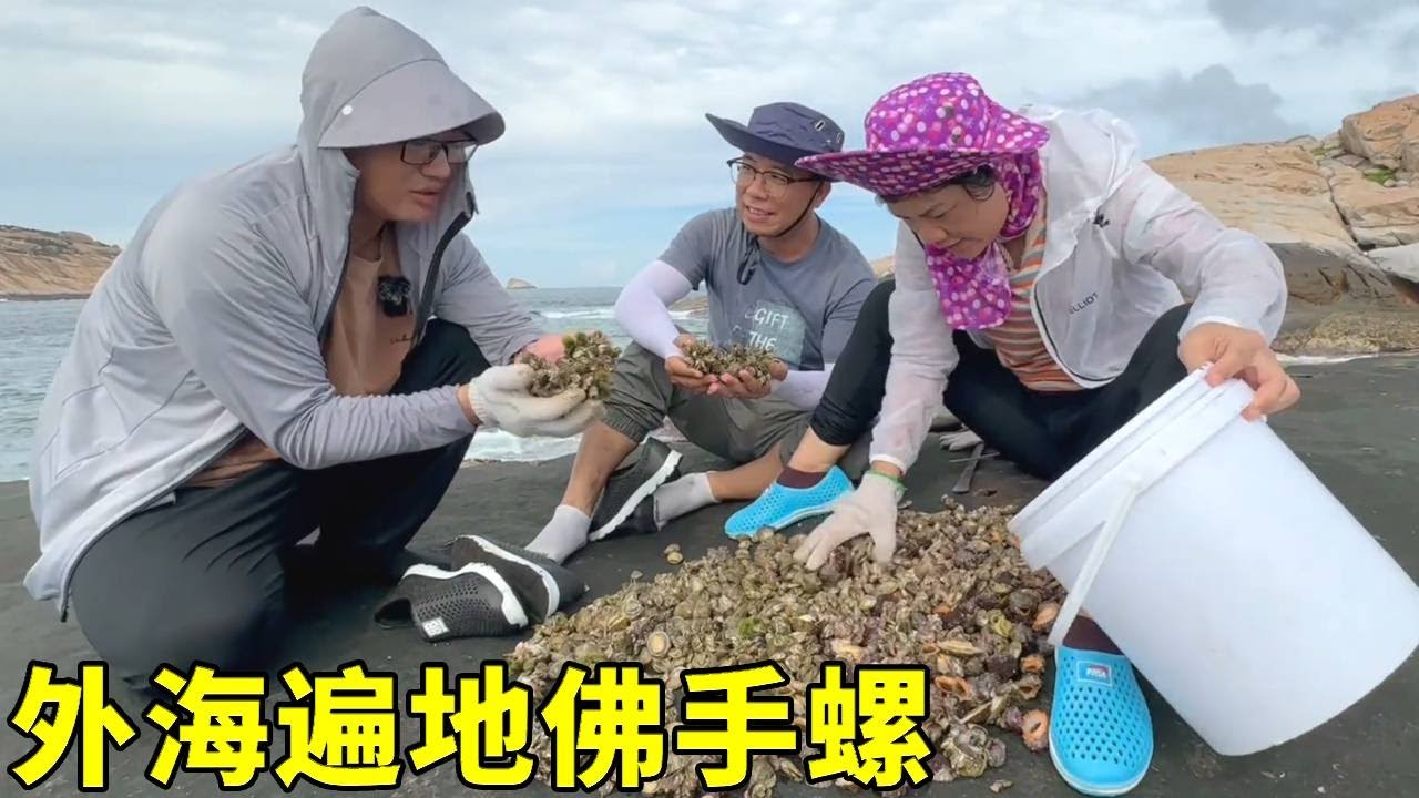 來外海大開眼界見，撿不完的海螺，遍地的將軍鮑，要大豐收的節奏【漁小仙】