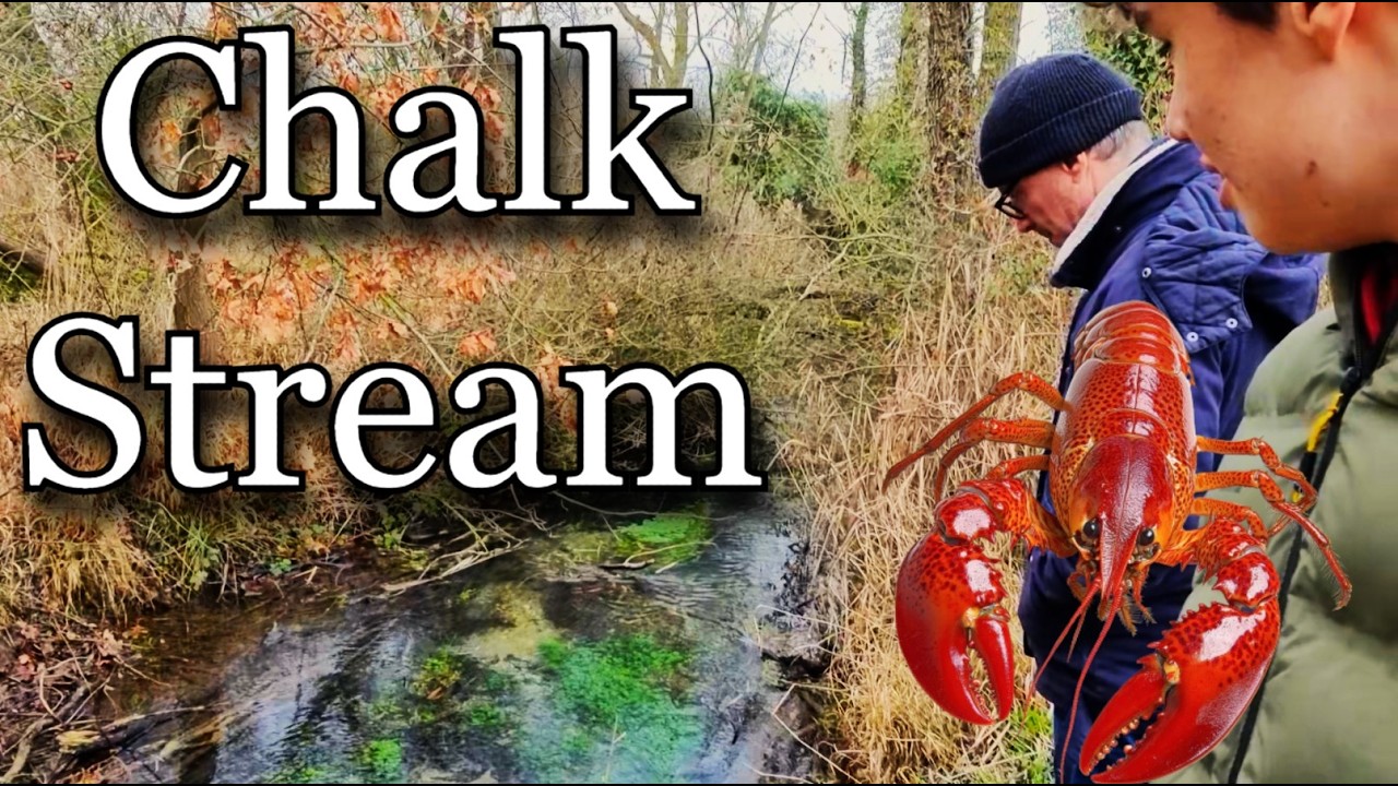 Посещение одного из последних в мире меловых ручьев! - Природный заповедник Фоулмер - Геокешинг