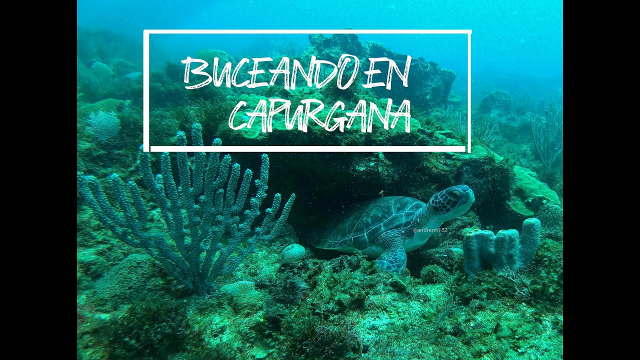 Buceando en capurgana (choco)