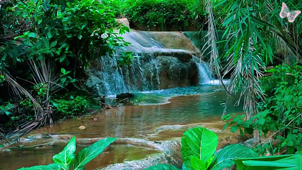 Relaxing Music For Stress Relief, Anxiety and Depressive States🌲 Heal Mind, Body and Soul Relax 41