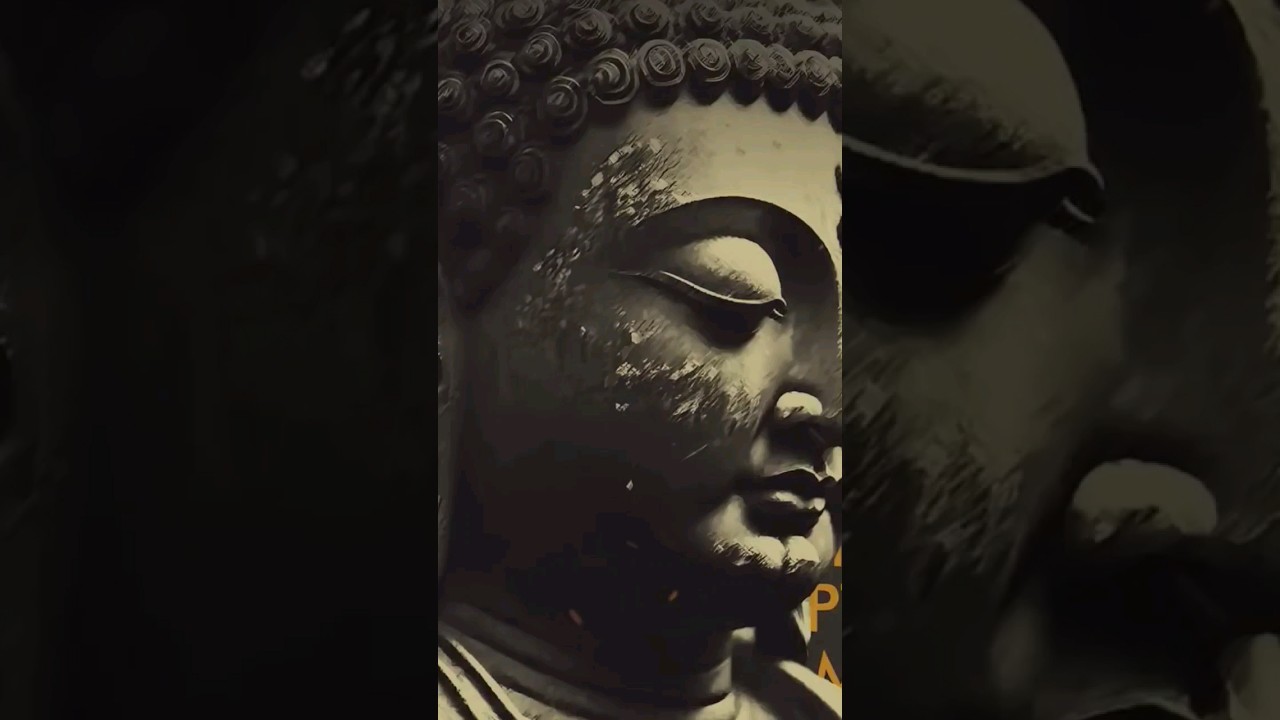 Buddhism: What Is Emptiness - Pali Canon (The Teachings Of Buddha) 🧡  #shorts #trending #love #fyp