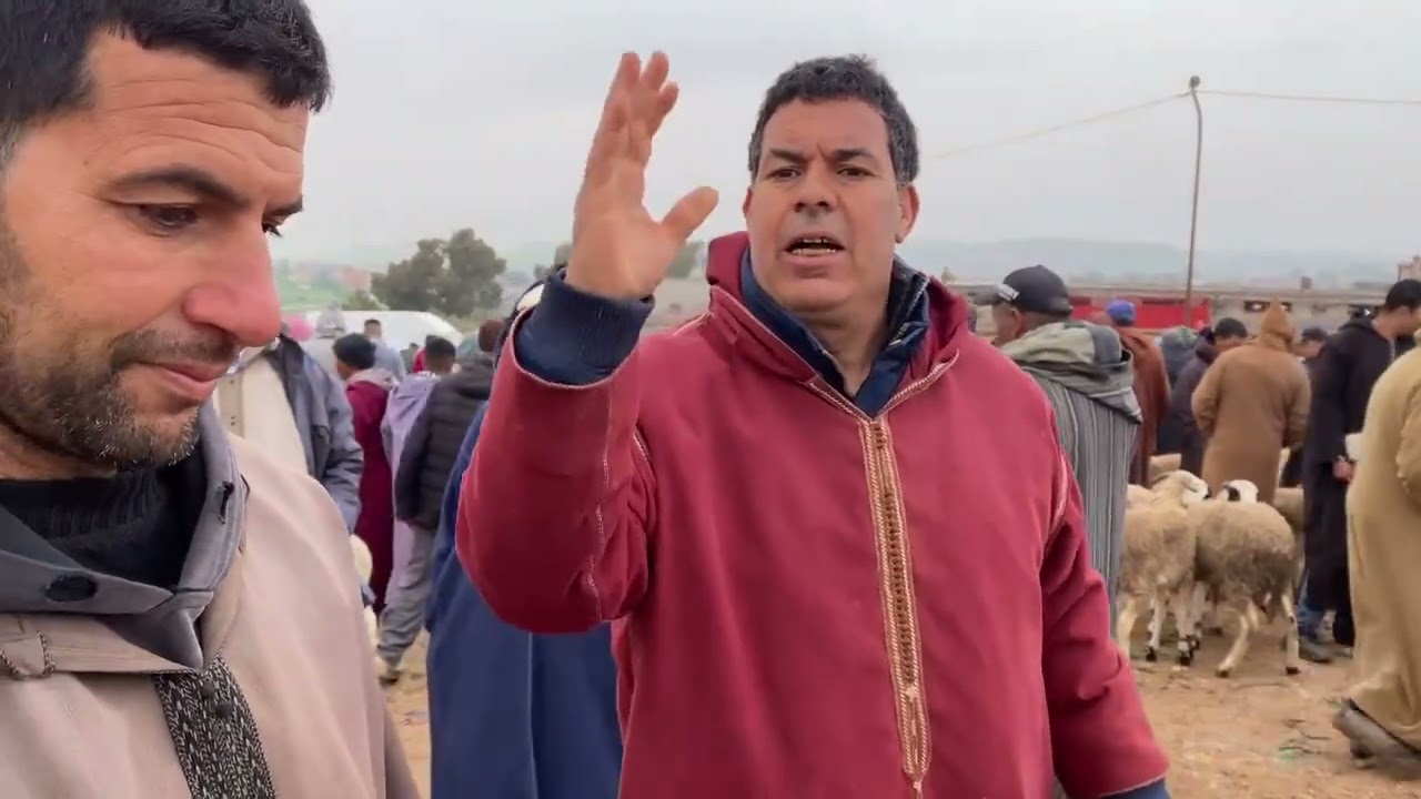 سبحان الله لخير مجود