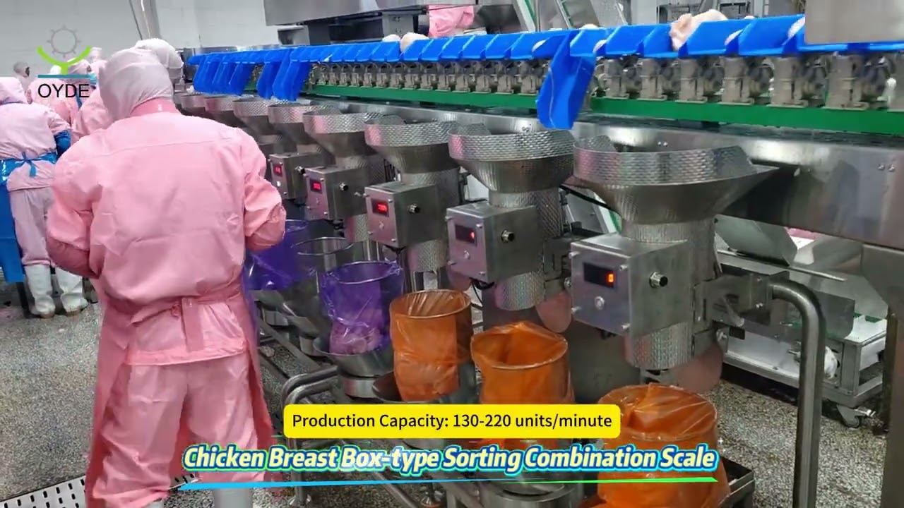 Chicken Breast Box-type Sorting Combination Scale