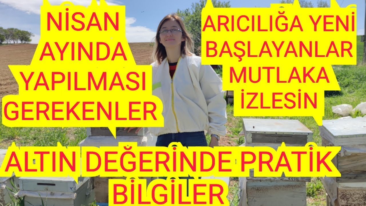 NİSAN AYINDA ARI BAKIMI/KAT ATMA/PETEK VERME/PRATİK BİLGİLER (17/04/2024)#arıcılık#arı#bee#yalvaç