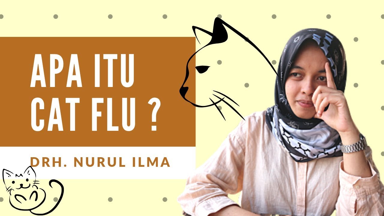 Apa itu Cat Flu atau Flu Kucing ?