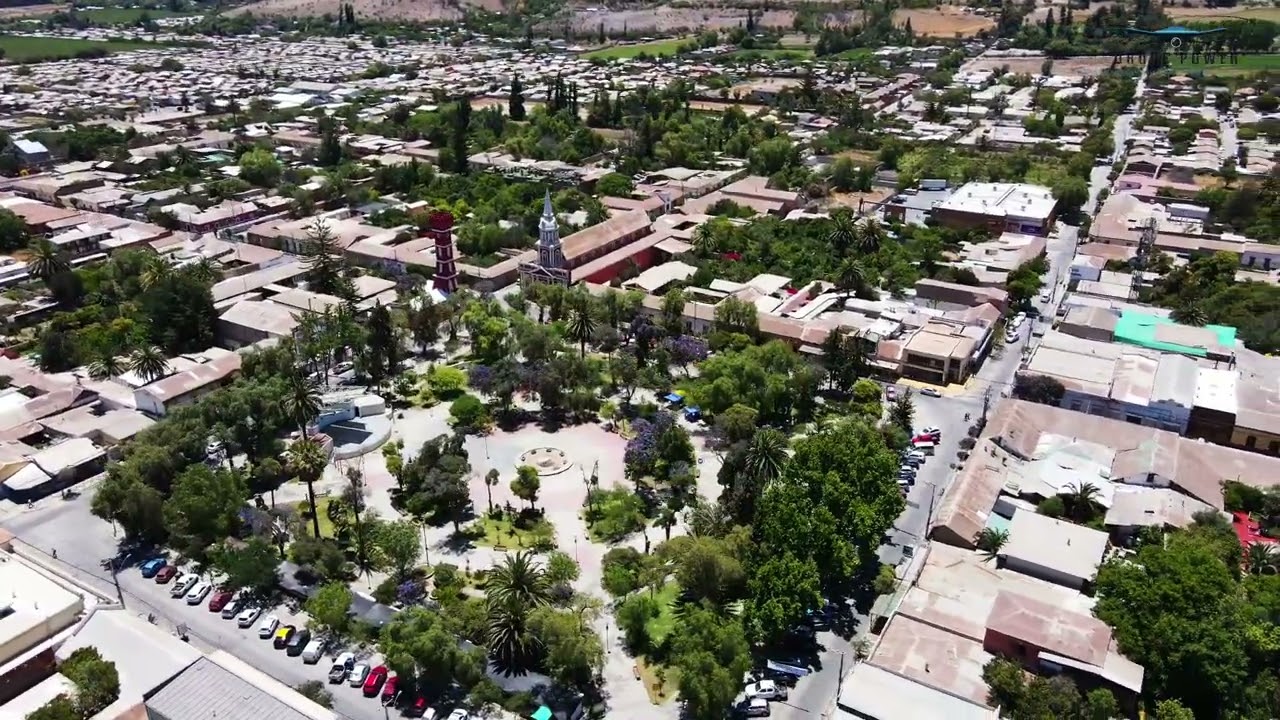 Vicu&ntilde;a - Valle del Elqui