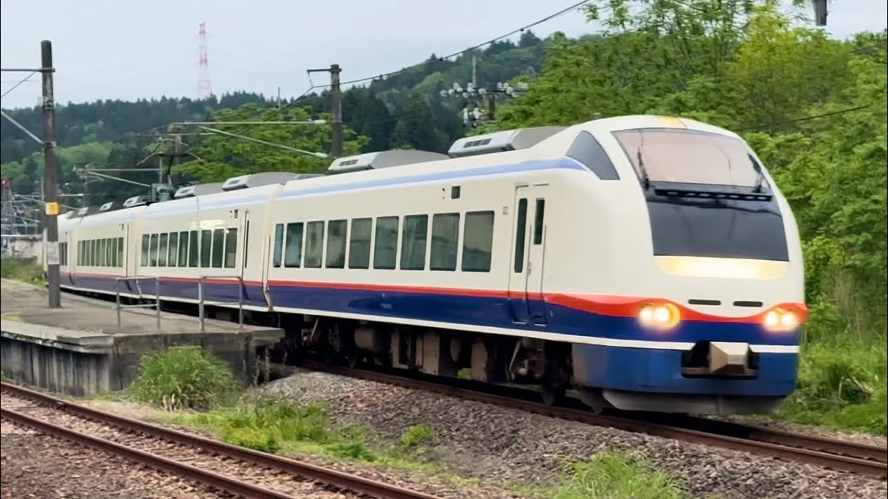 E653系1100番台 しらゆき 通過集