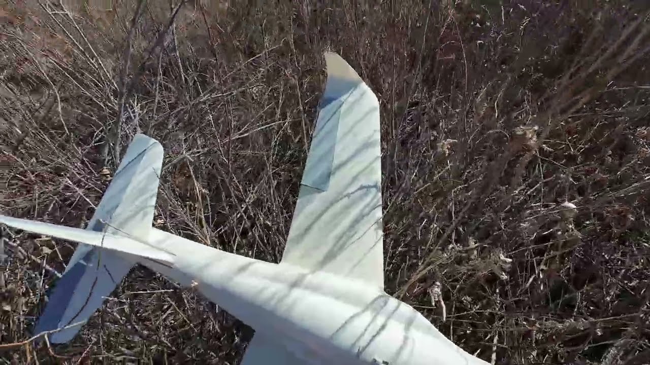 20240309 FLEX MAMBA 10G2 / Eclipson COBRA 64mm 3d Printed *4k