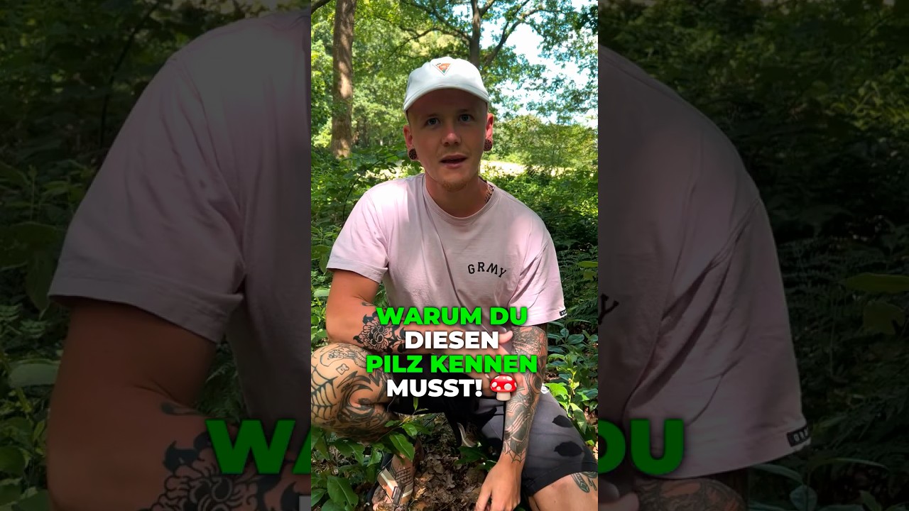 Warum du diesen Pilz kennen solltest..! #pilze #natur #wald