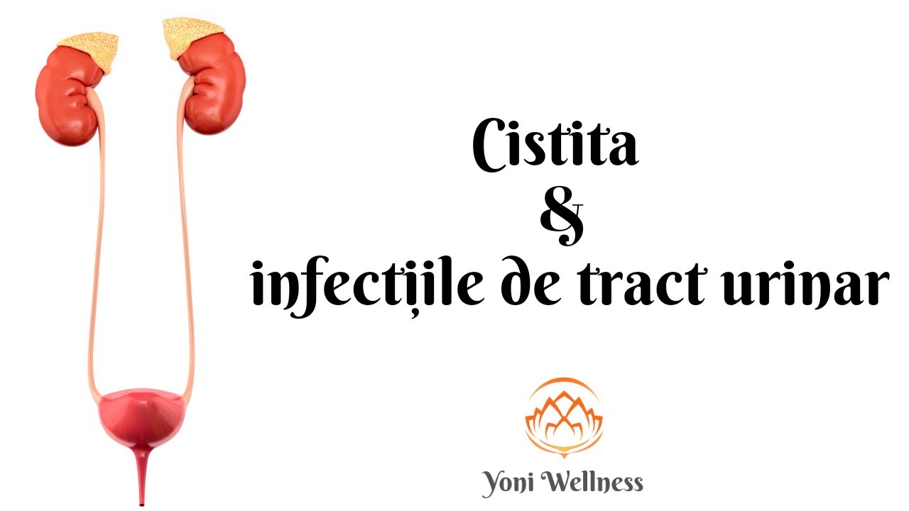 S2. Ep 56 - Cistita ṣi infecțiile de tract urinar | Simptome | Diagnostic | Tratament | Prevenție
