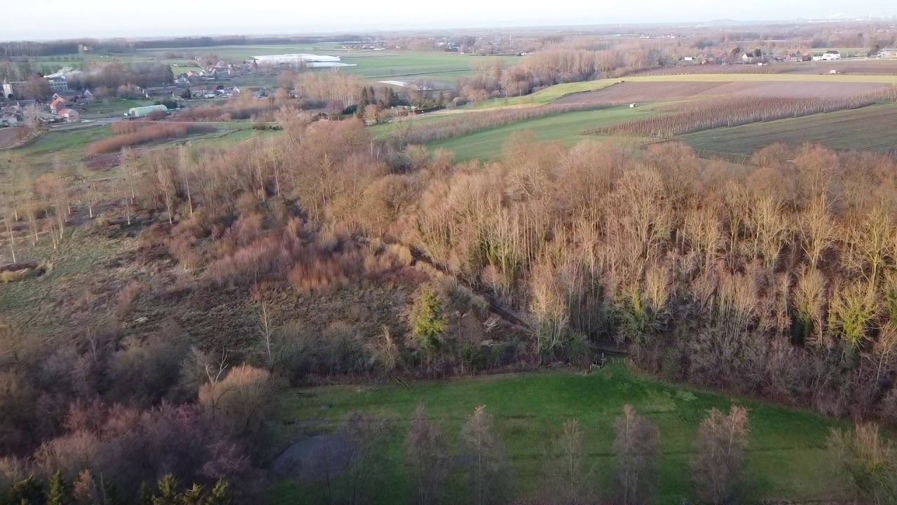 Drone Alone flying in Zammelen and Borgloon