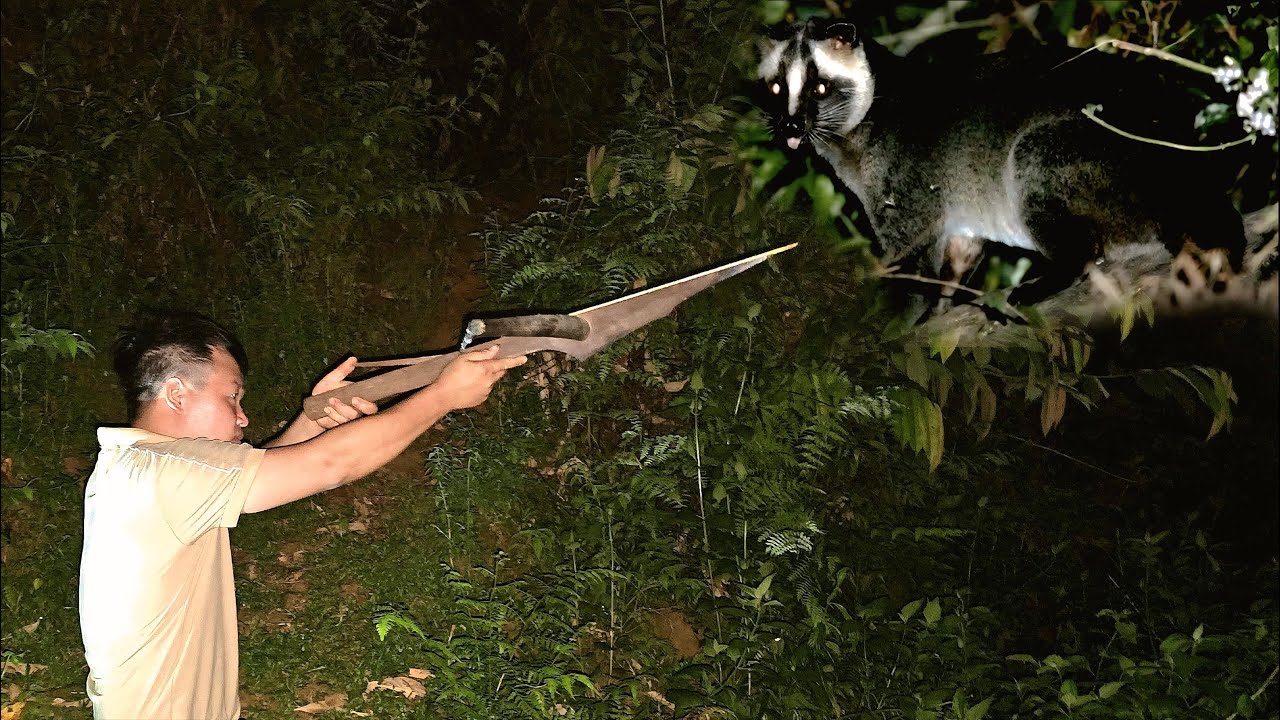 CEO leaves the city for the countryside, finishes house walls with bamboo, finds food in the forest.