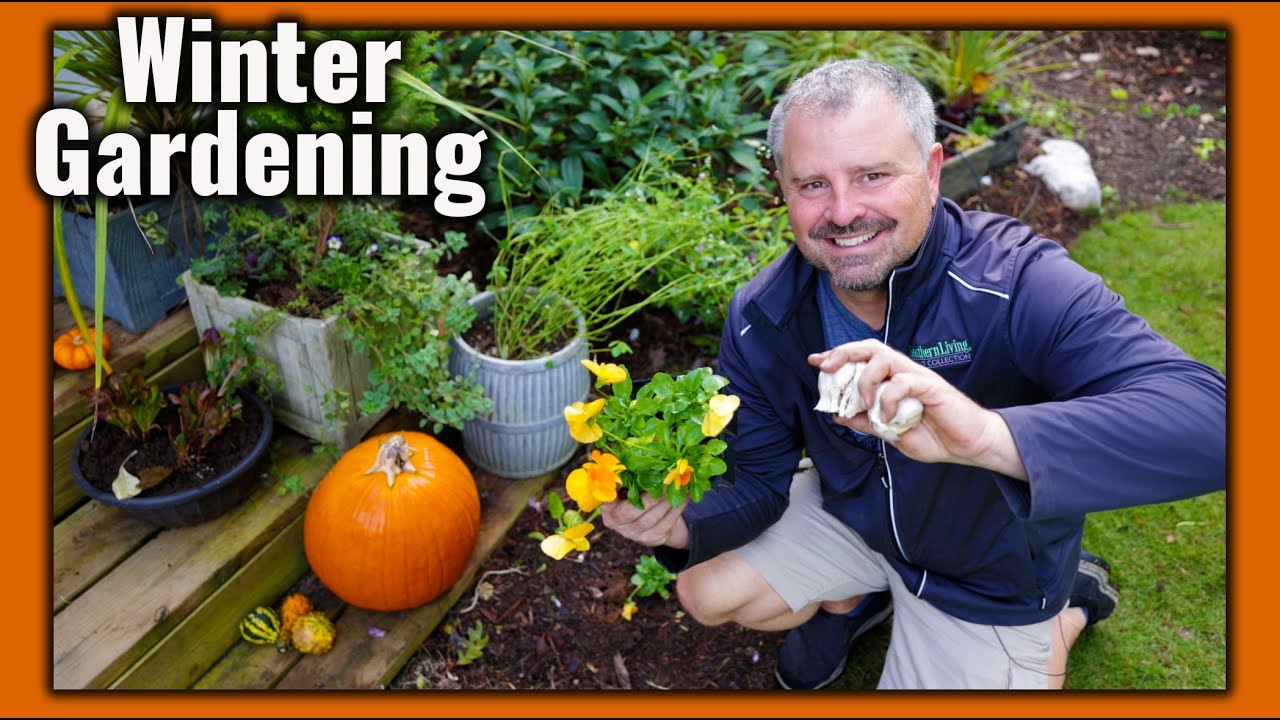 Planting Garlic, Pansies, Kale, Lettuce Containers - How to make a new flower bed!