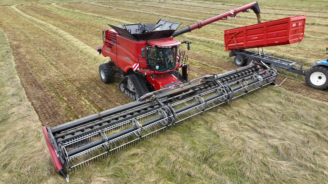 Case IH 9260 Axial-Flow with 50ft. Wide MacDon FD250 Header harvesting Grass Seed | Harvest 2024