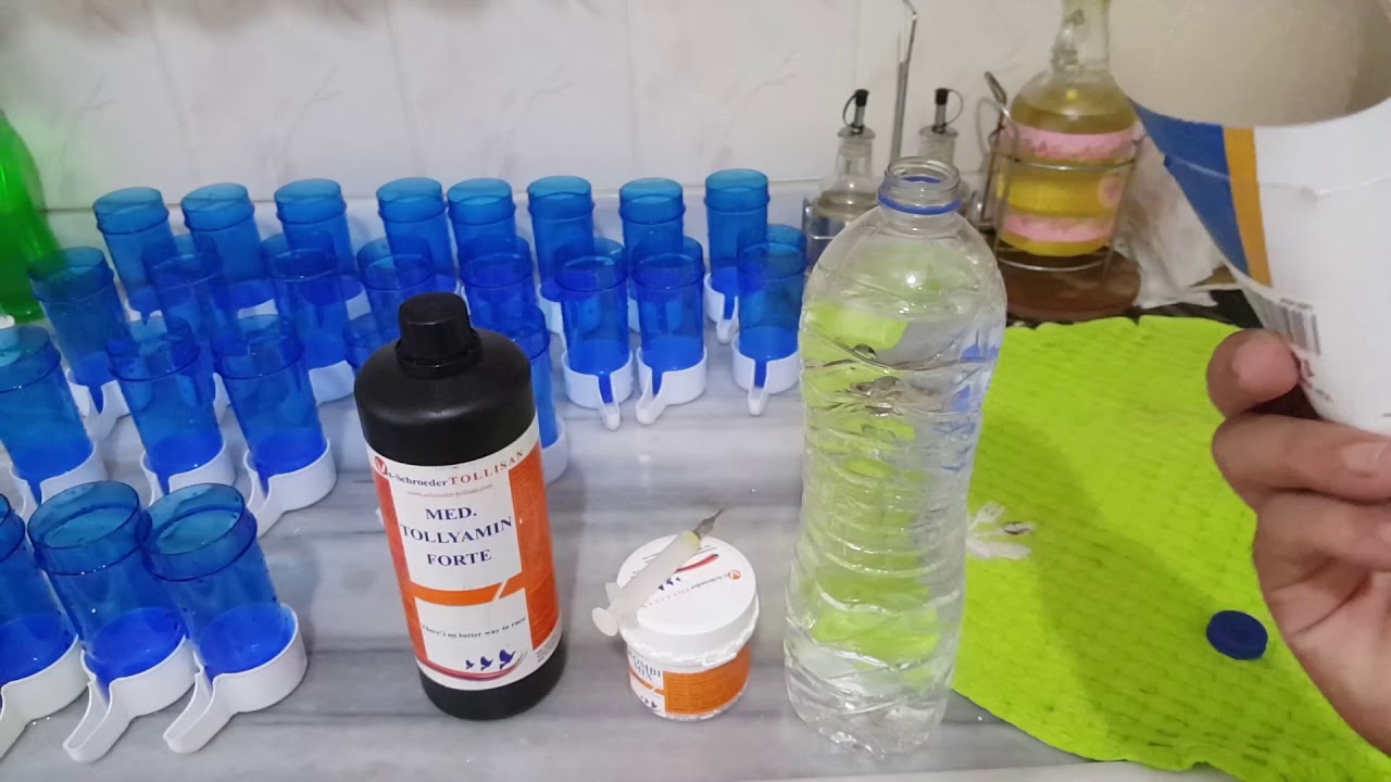 Muhabbet Kuşlarımıza Kür Uygulaması Yapdım