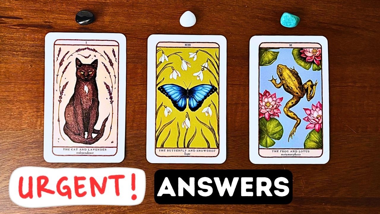 Urgent Answers Sent From The Universe! 🍀⏐PICK A CARD