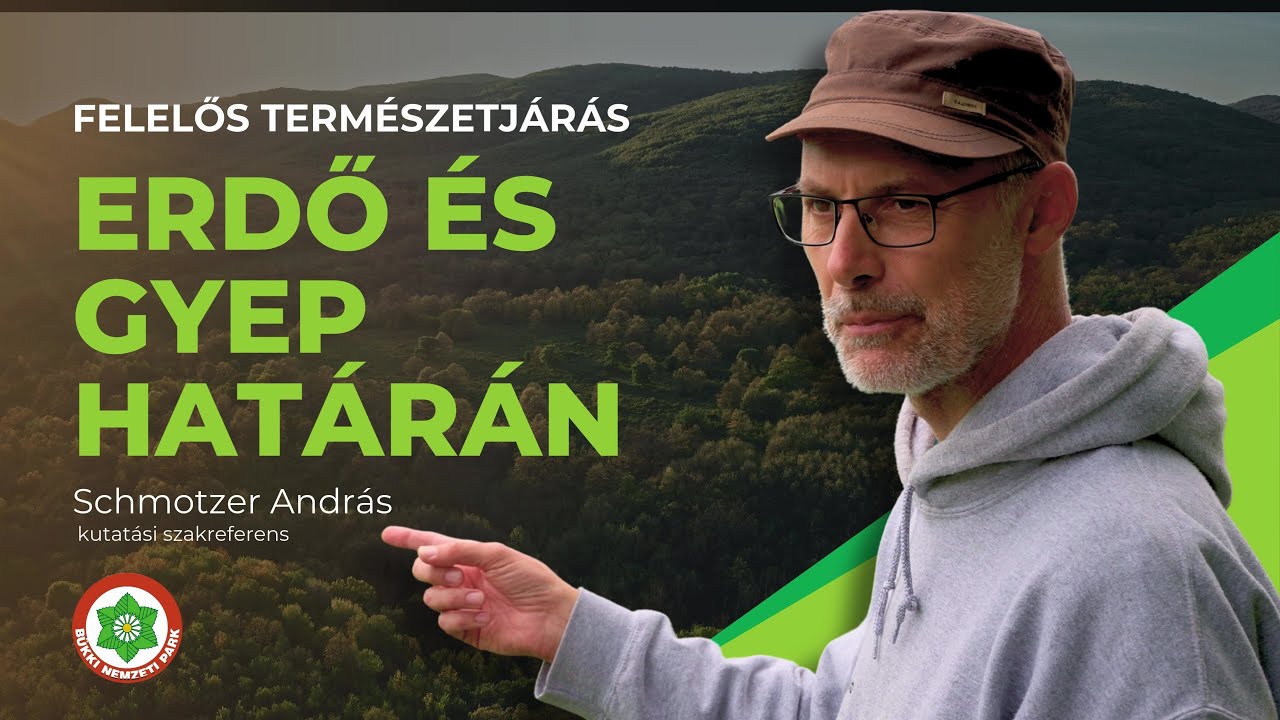 Felelős természetjárás: Erdő és gyep határán