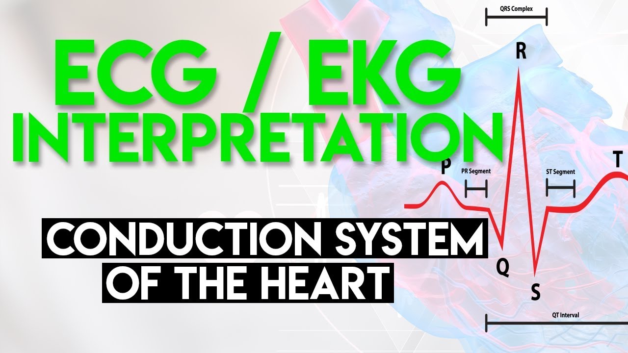 Electrical Conduction System of the Heart | ECG EKG Interpretation (Part 1)