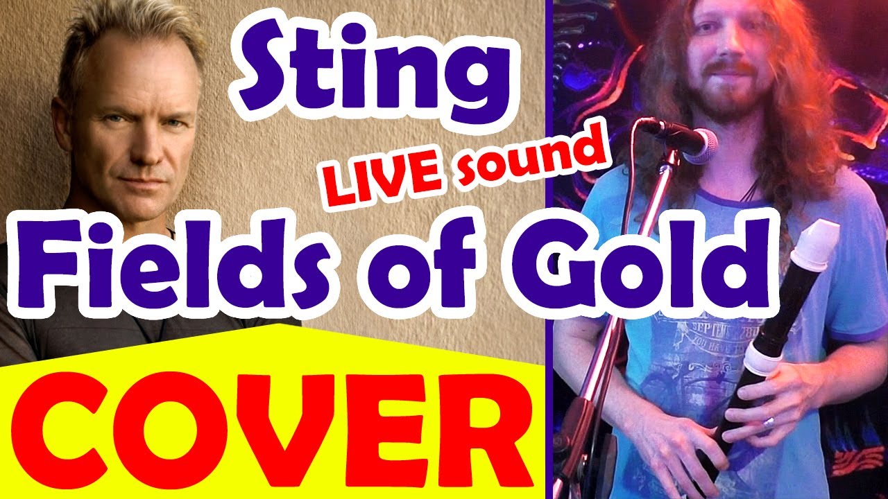 FIELDS OF GOLD (Recorder cover, Block Flute cover) by STING + Notes and Lyrics