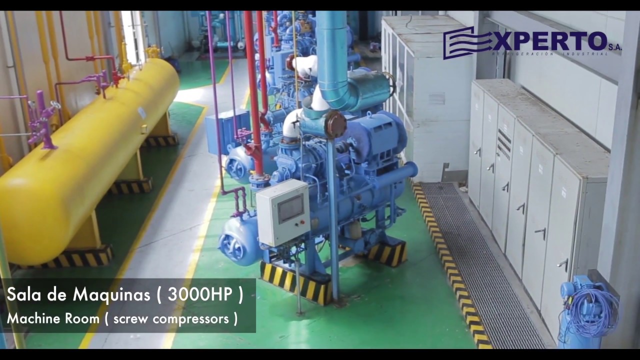 XPERTO Refrigeration: Pelagic