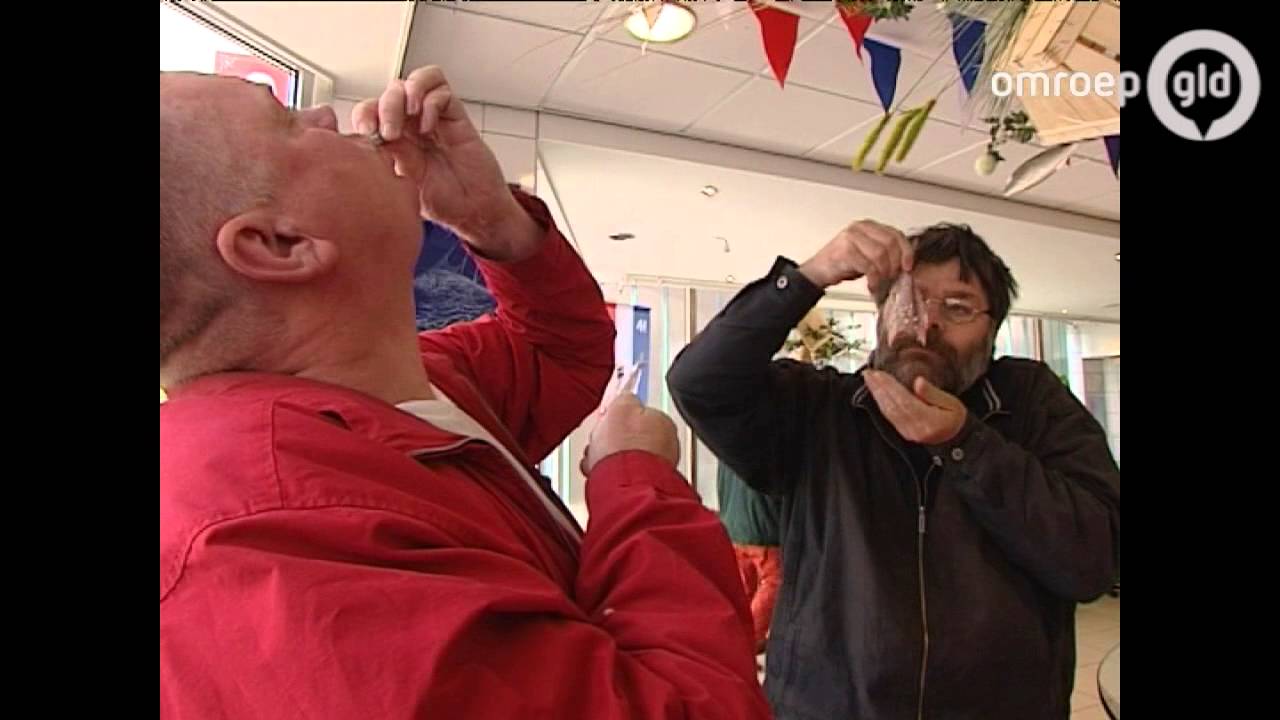 Opbrengst eerste vaatje nieuwe haring voor Bio Vakantieoord